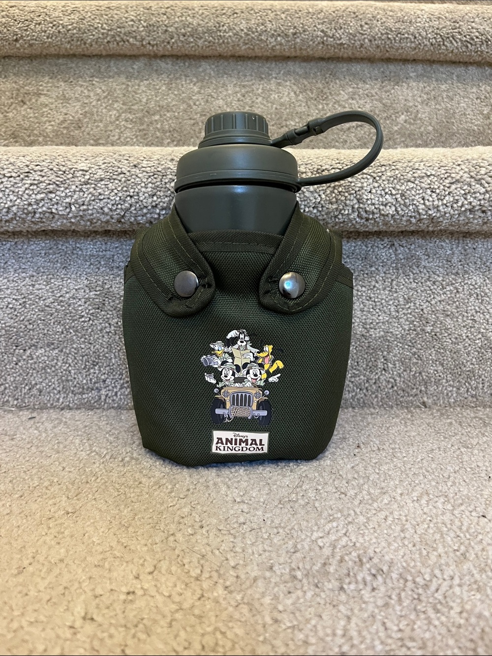 Walt Disney World Animal Kingdom Canteen